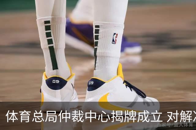 体育总局仲裁中心揭牌成立 对解决足球纠纷有益